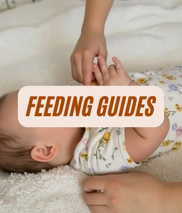 feeding guides